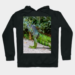 Green Lizard Dragon Hoodie